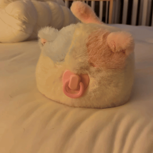 A person gently petting Cuddle Kitty
